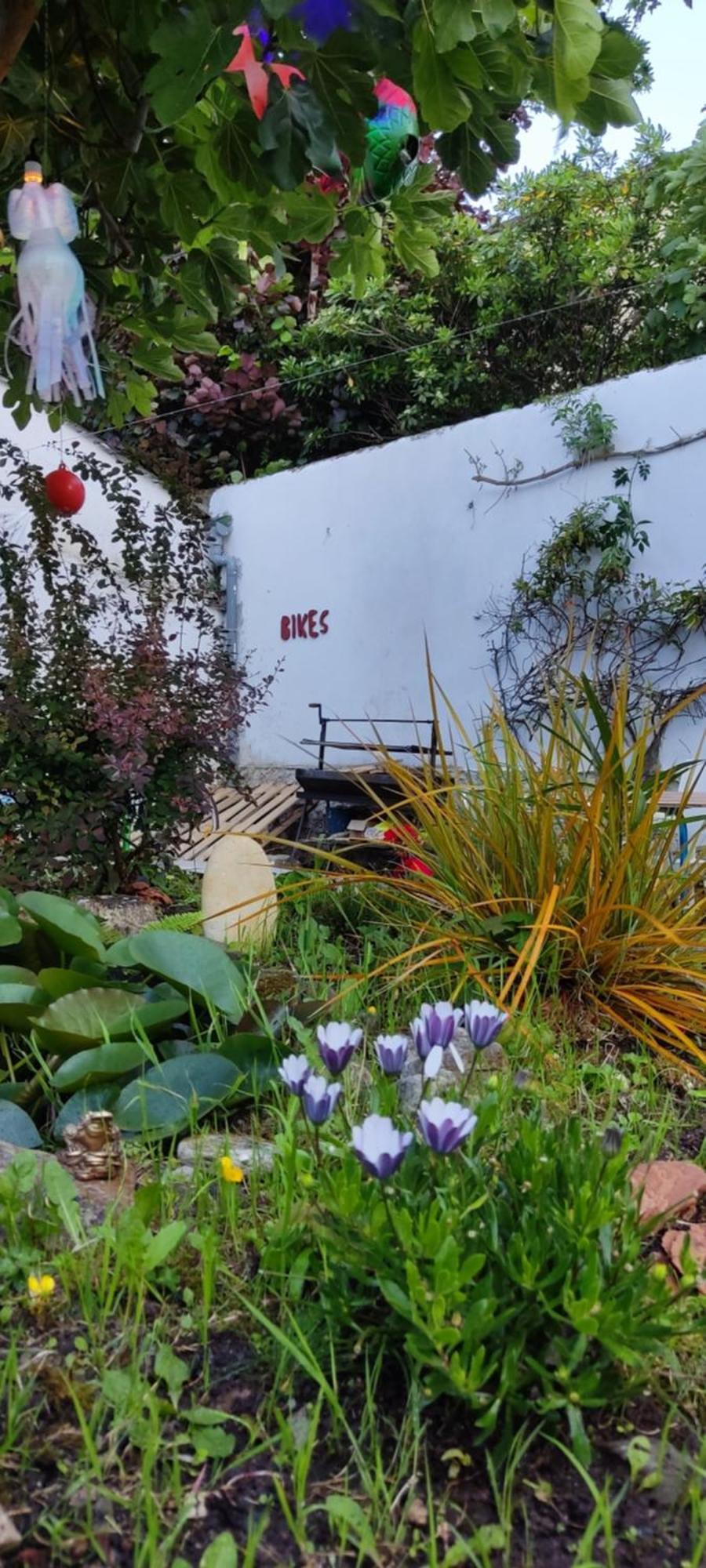 Hostel Namor Ribadeo Dış mekan fotoğraf